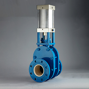 Ceramic Double Disc Gate Valve
