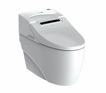 Smart Toilet2014121104129885