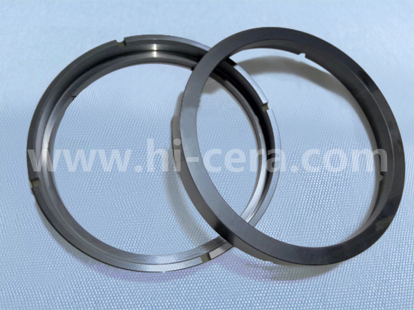 Silicon carbide sealing ring301