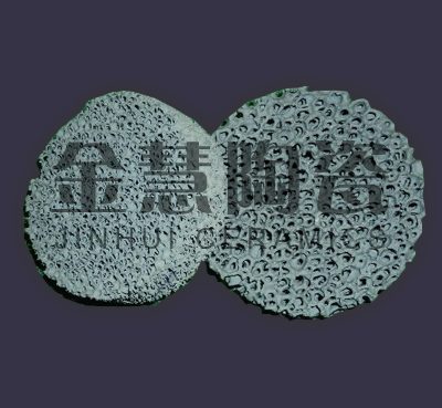 Silicon carbide ceramic foam