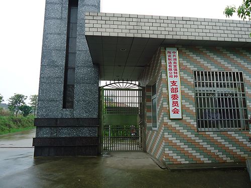 公司大门