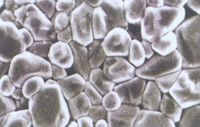 Alumina ceramics