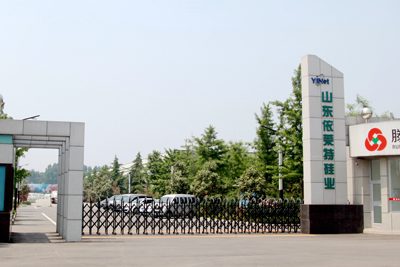 公司大门