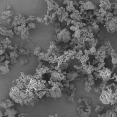 Monoclinic Zirconia