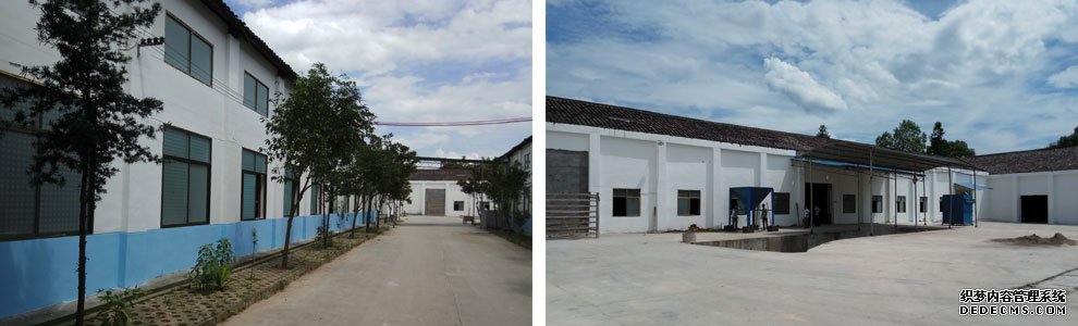 公司环境