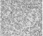 Liquid-phase Sintered Silicon Carbide