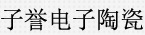 上海子誉电子陶瓷有限公司