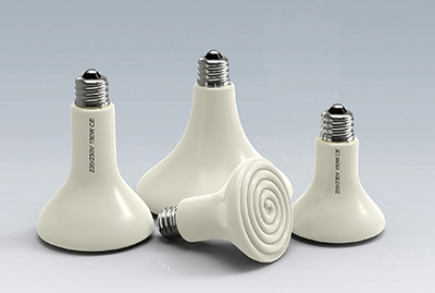 be6aa35e8ae16411269e17e7bdcbeed