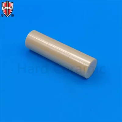 Customized Colored Zirconia Ceramic Rod Plunger
