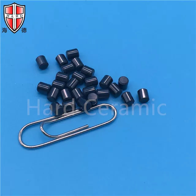 Silicon Nitride Ceramic Bearing Rollerceradir_3875