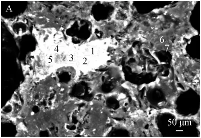 Immobilization Mechanism and Leaching Properties of Geopolymer-Based Multiphase Ceramics High-Level Radioactive Liquid Waste Form