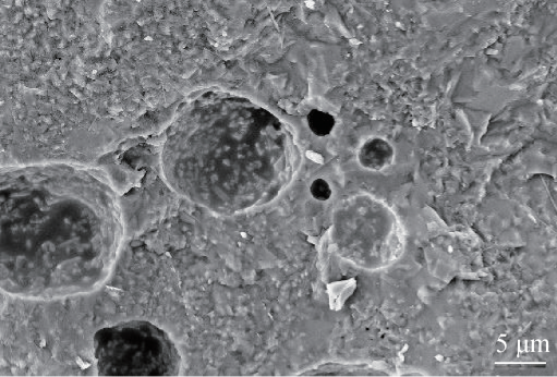 石棉尾渣和粉煤灰制备堇青石多孔陶瓷及其理化性能