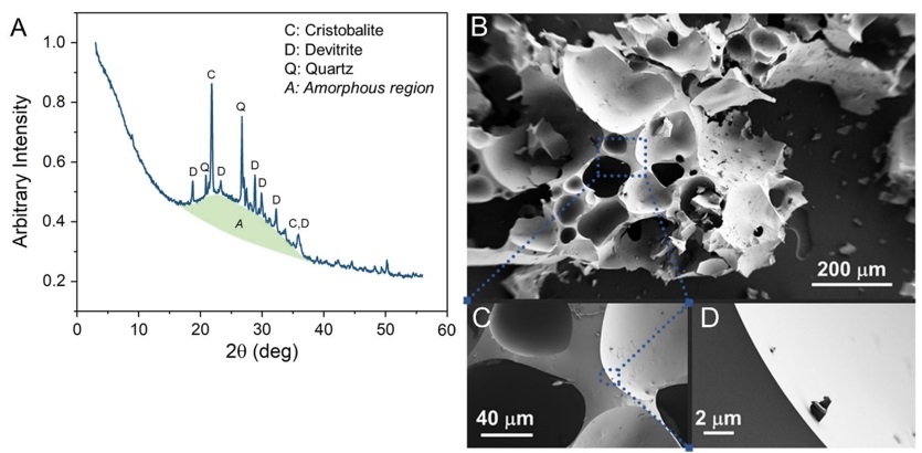 Foamed glass ceramics—an upcycled scaffold for microbial biofilm development