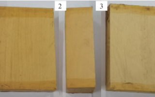 黄杨木制备SiC木质陶瓷的性能与表征