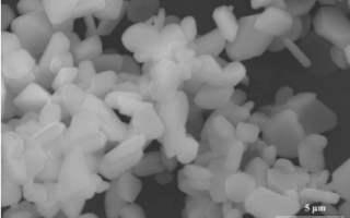 High transmittance and grain-orientated alumina ceramics fabricated by adding fine template particles