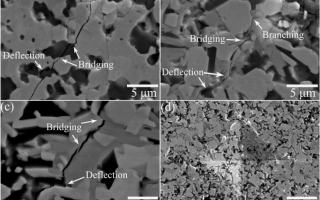 Design and preparation of an ultra-high temperature ceramic by in-situ introduction of Zr2[Al(Si)]4C5 into ZrB2-SiC: Investigation on the mechanical properties and oxidation behavior