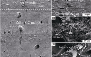 Fabrication and microstructure evolution of Csf/ZrB2-SiC composites via direct ink writing and reactive melt infiltration