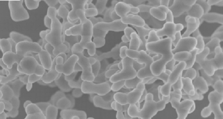 Fabrication and performance evaluation of novel transparent ceramics RE:Tb3Ga5O12 (RE = Pr, Tm, Dy) toward magneto-optical application