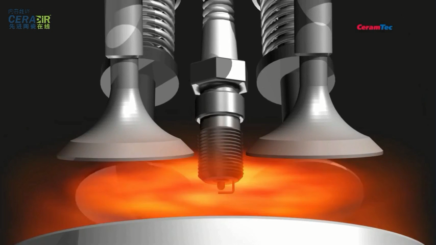 Piezo-Ceramic Actuators