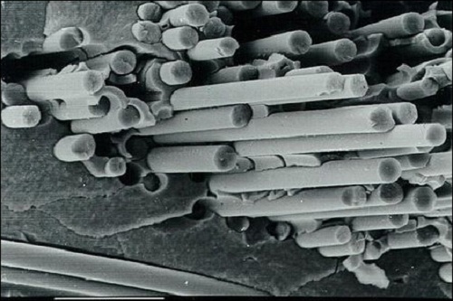 近代物理所在新型核用复合陶瓷研发及辐照性能评价方面获进展