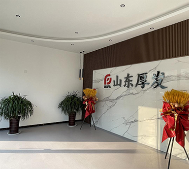 Inorganic non-metallic materials developer