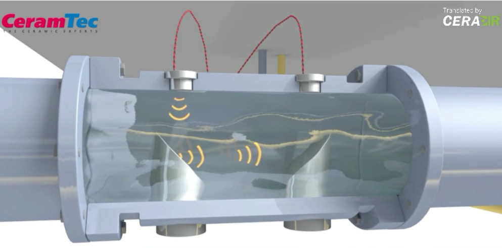 Ultrasonic Flow Sensor